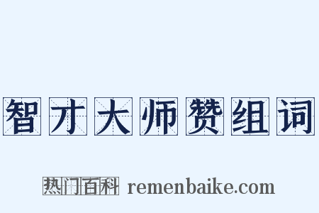 智才大师赞组词是什么意思的图片